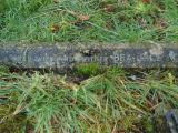 image of grave number 476897